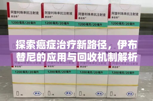 荆州探索癌症治疗新路径，伊布替尼的应用与回收机制解析