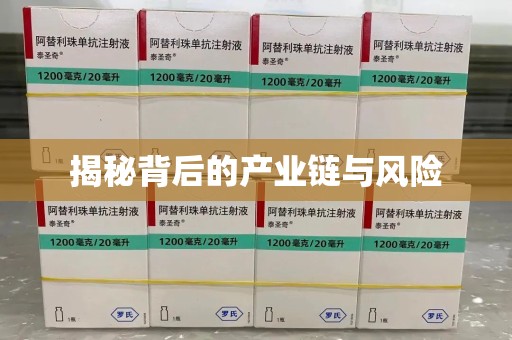 荆州揭秘背后的产业链与风险